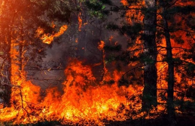 Пожарът в Гърция премина граничната бразда, локализиран е от българска страна